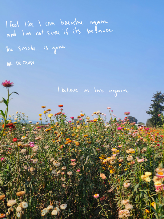 I Believe Again | Photo Poem Print