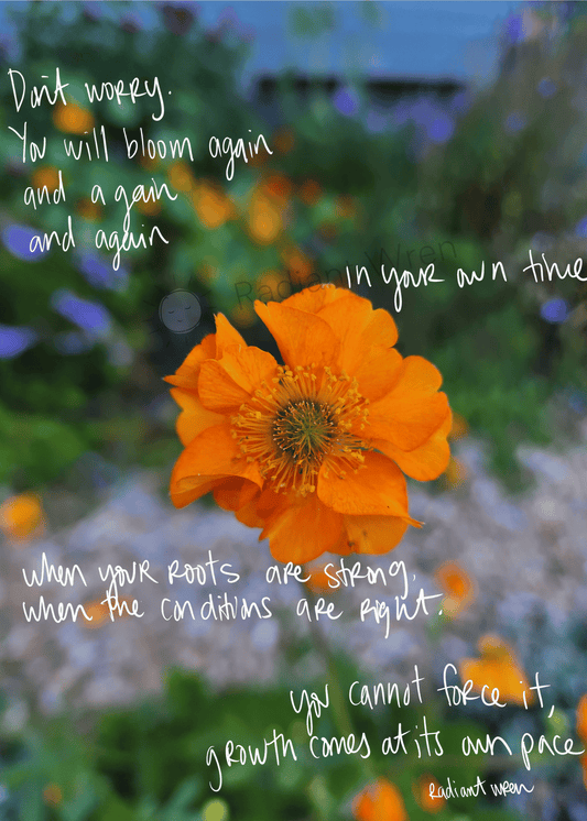 Bloom | Photo Poem Print