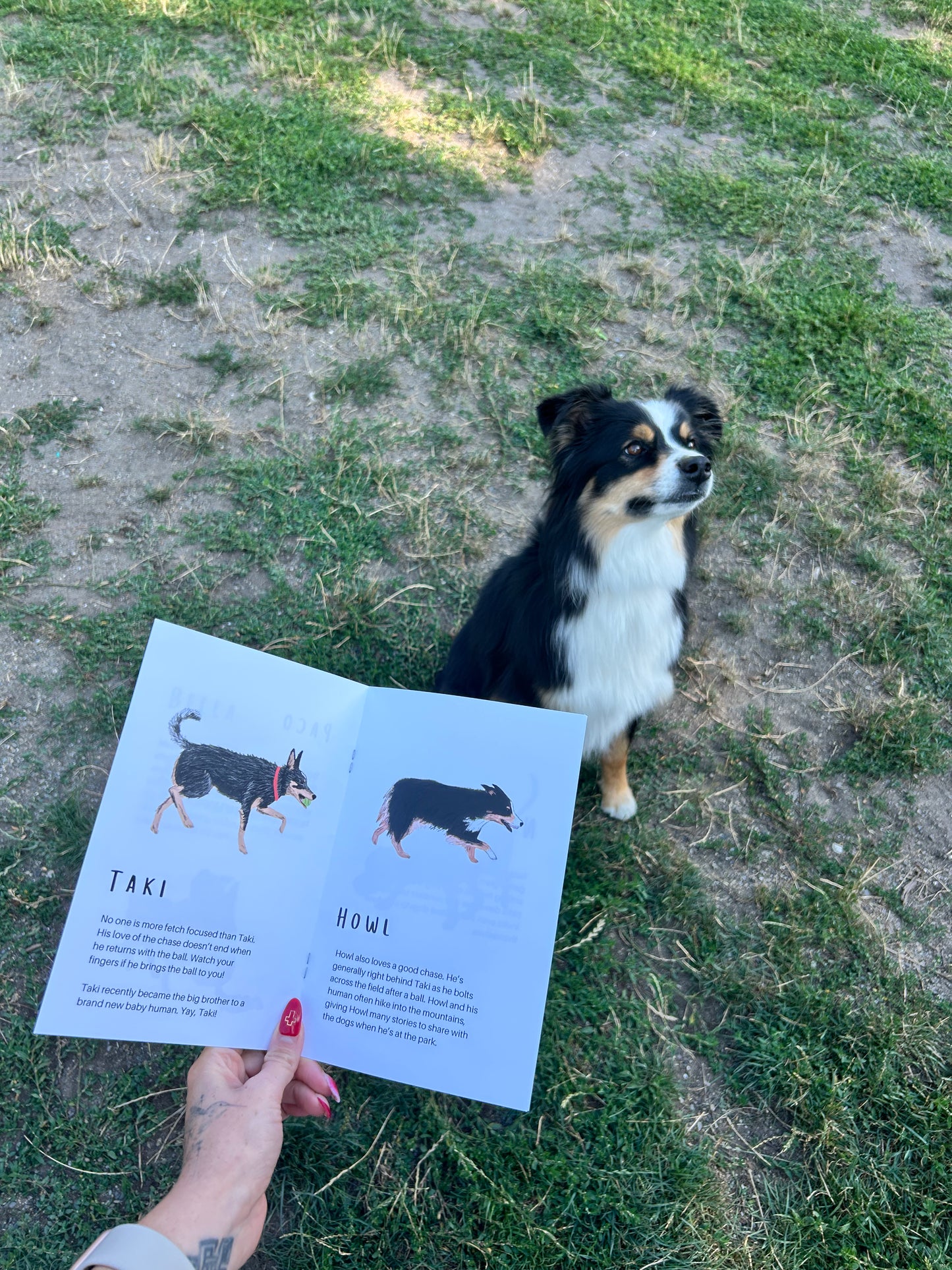 Unofficial Dog Park Zine, Issue #1