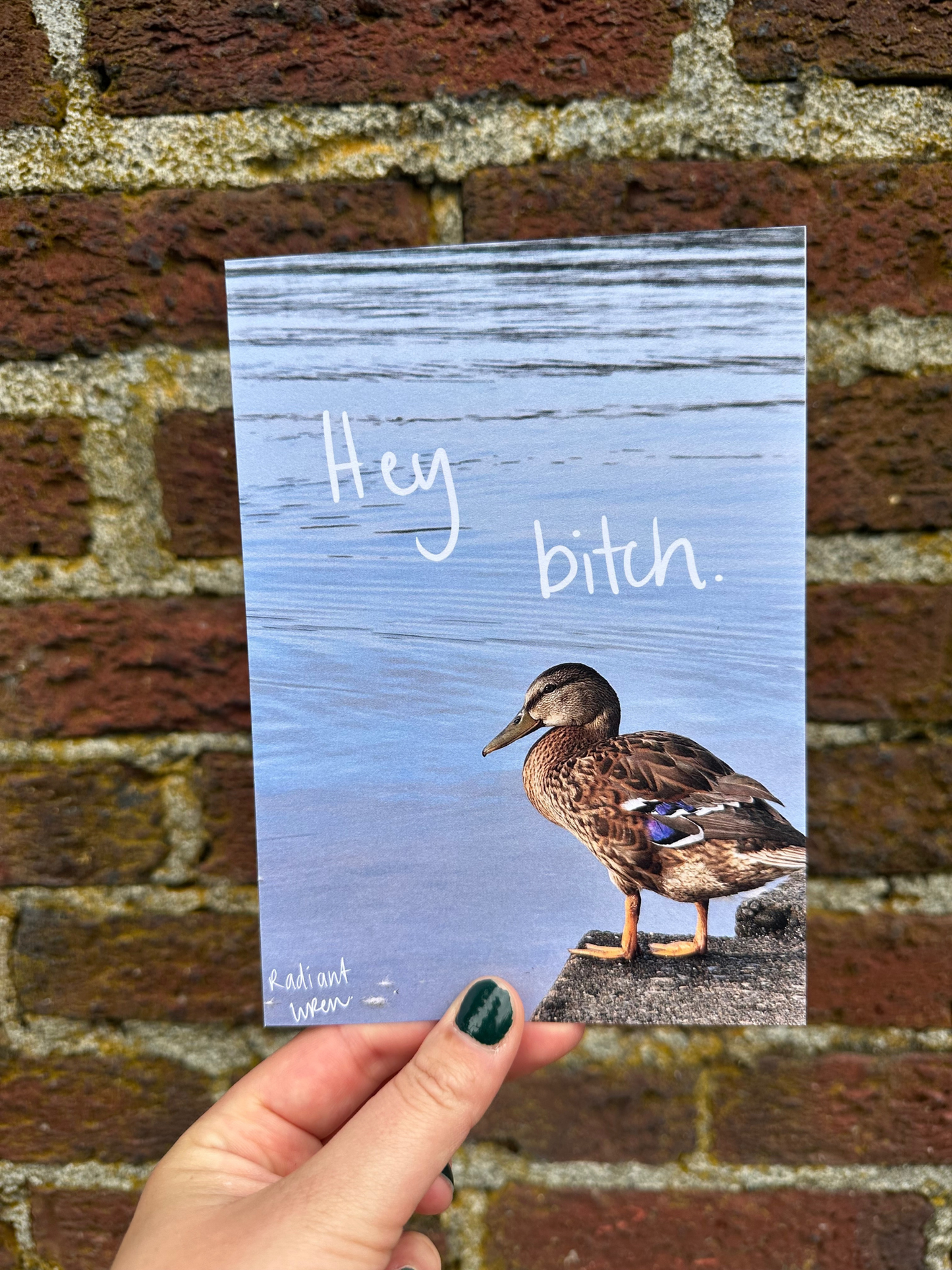 Hey B*tch | Photo Poem Print