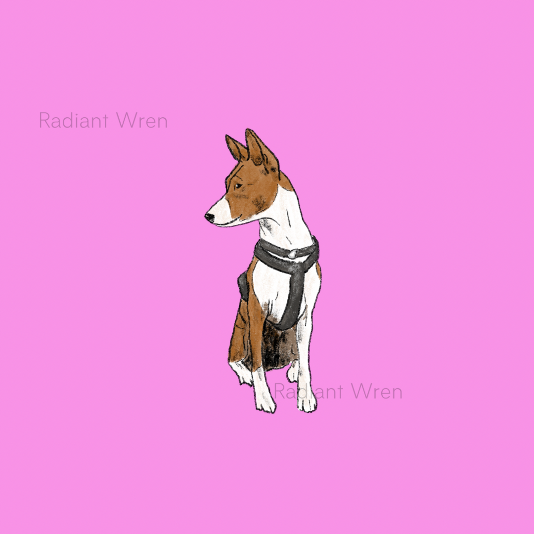 Dog Drawing | Mini Art Print