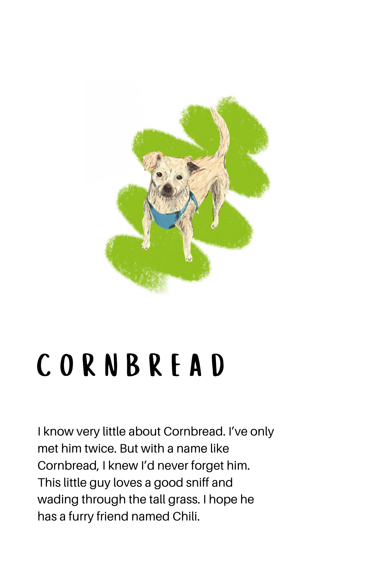 Unofficial Dog Park Zine, Issue #2