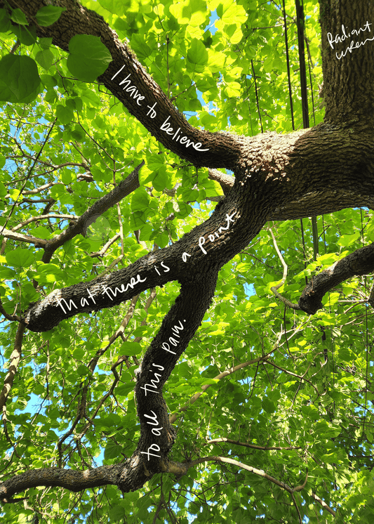 A Point | Photo Poem Print